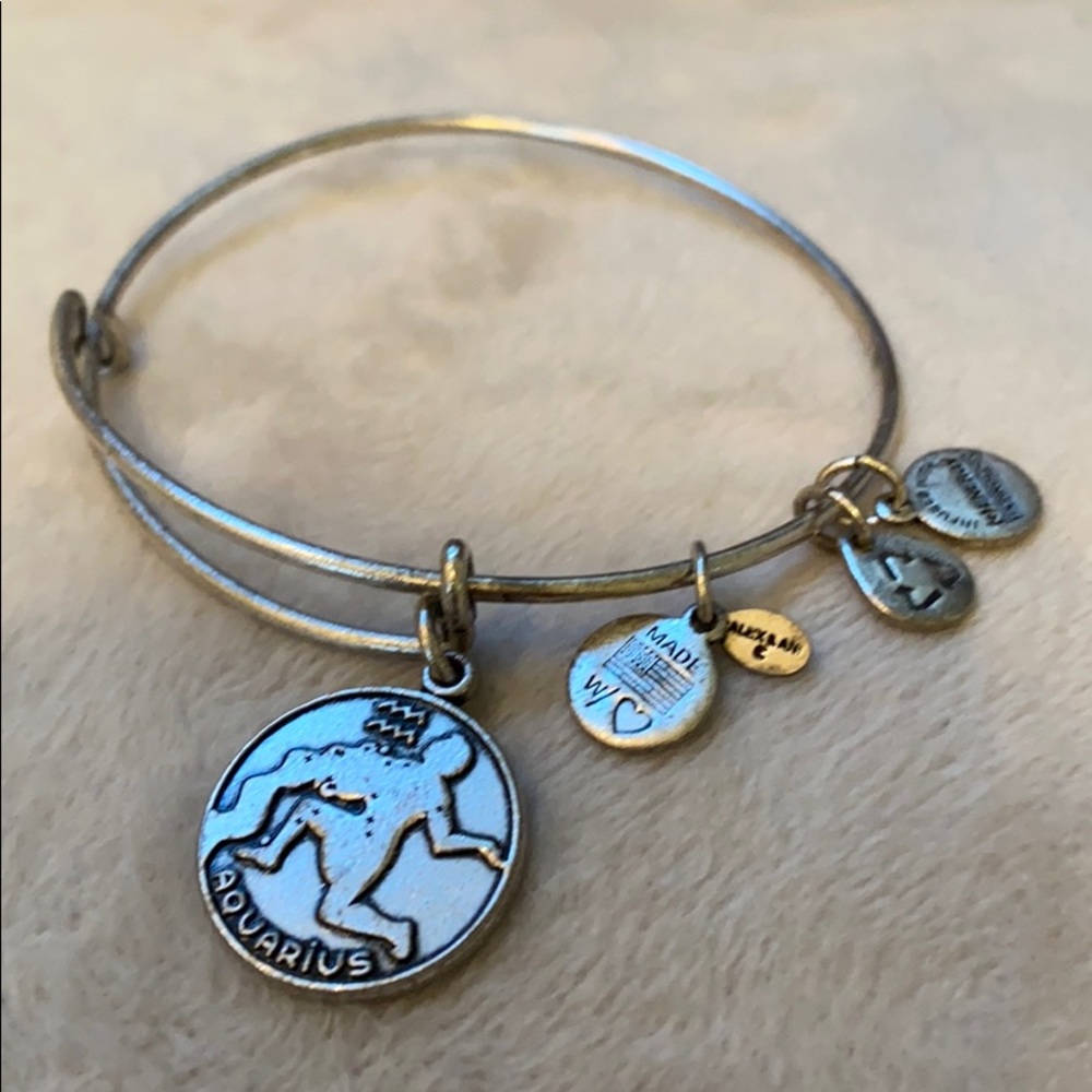 Alex and Ani Aquarius bracelet